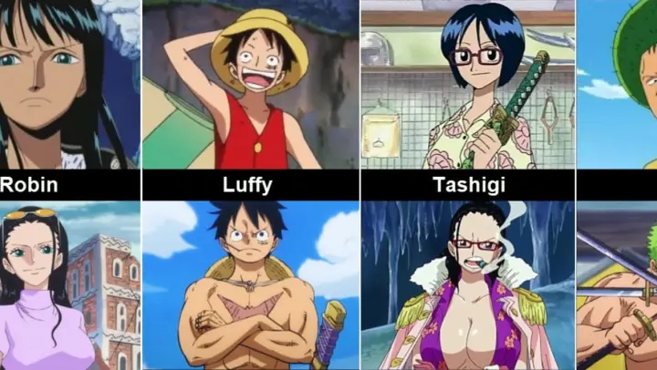 One Piece Characters After 2 Years in Anime