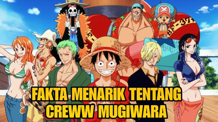 fakta menarik tentanf crew mugiwara no luffy