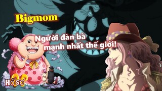 Tất tần tật về tứ hoàng Bigmom - Người phụ nữ đông con nhất thế giới!