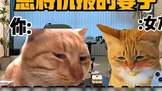 "Nhà hát Cat Meme" Khi bạn có một người vợ trả thù lòng tốt!