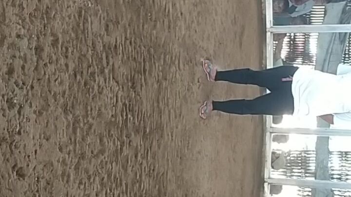 # laban lang.,