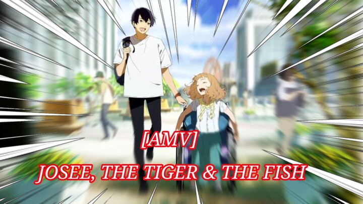 Walau Tak Bisa Berjalan, Cintanya Tak Akan Padam | [AMV] JOSEE, THE TIGER & THE FISH