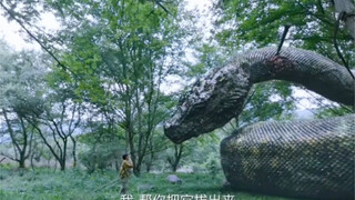 你救我一命，我护你一生！