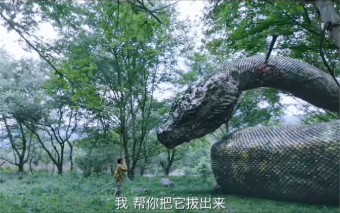你救我一命，我护你一生！