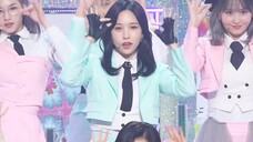 [예능연구소 4K] 트와이스 미나 직캠 'SCIENTIST' (TWICE MINA FanCam) @Show!MusicCore 211113