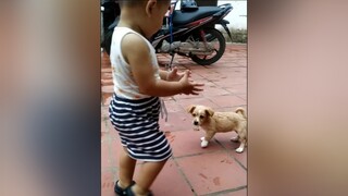 Em...Bơ...yeucho yeuchomeo cún cúncon chó chómèo chócon chó_cưng chókhôn yeuchomeo cưng chócute pet dog dogsoftiktok doggo