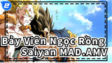 Bảy Viên Ngọc Rồng| Cơn thịnh nộ của Saiyan!!!_2