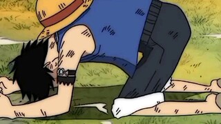 luffy lost his crewmate😓😓😓