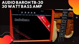 Audio Baron TB 30 Bass Amp Demo/Review by Jikyonly