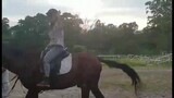 RIDING A HORSE in LEISURE FARM //fun and enjoyable #HORSE