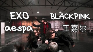 女爱豆之光！堪比韩娱TOP练习室的完美卡点机器 | BLACKPINK Aespa EXO 王嘉尔 【陆柯燃】