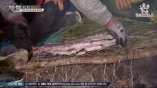 Law of the Jungle in Wild New Zealand [8] ENG SUB