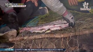 Law of the Jungle in Wild New Zealand [8] ENG SUB