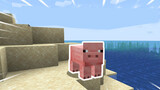 MINECRAFT- Turn into another creature every 30 seconds !