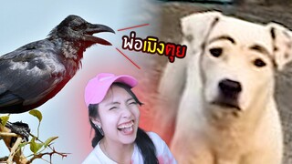 สัตว์ฮา Ep.5🦉นกด่า โคตรฮา