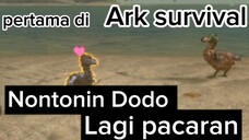 hari pertama di ark survival. bisakah saya menamatkan game ini. ??