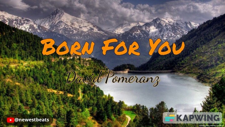 Born For You - David Pomeranz mp4
