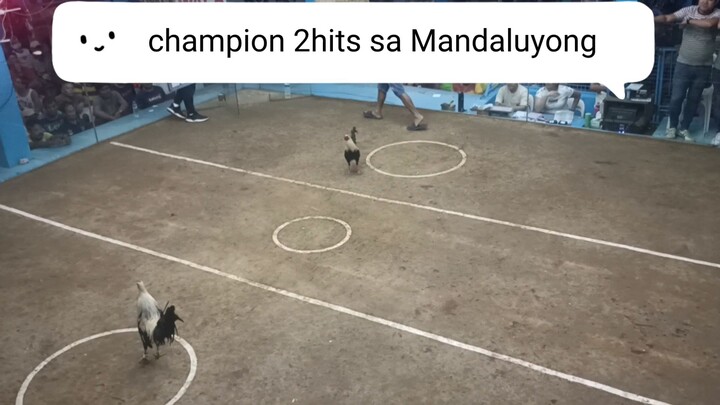 champion 2hits sa Mandaluyong