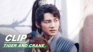 Use a Chicken to Pretend to be a nine-color Bird | Tiger and Crane EP09 | 虎鹤妖师录 | iQIYI