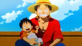 The Future and All the Children of the Straw Hat Pirates - One Piece