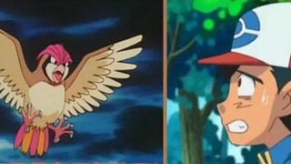 『Pokémon Information』 Pidgeot finally returns after more than 20 years?! Dawn travels through time a