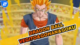 Dragon Ball|【Dragonball multiverse】Vegito&Gohan&Goku_2