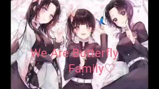 Butterfly Family🦋🦋🦋