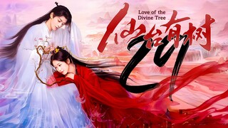 EP29 Love.of.the.Divine.Tree (2025)