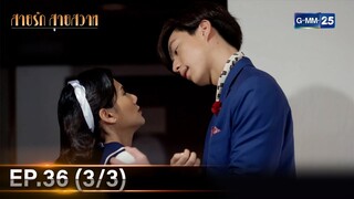 สายรักสายสวาท | Ep.36 (3/3) | 11 ก.ค. 67 | GMM25