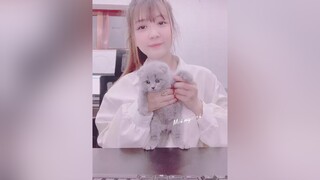 1 chiếc mèo cuteeeee xuhuongtiktok meomeo meocute