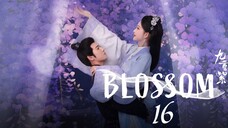 Ep-16 Blossom