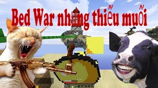 Bed War Nhưng Thiếu Muối | BedWar HeroMC.net