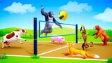 Funny Animals Playing Volleyball Game| Gorilla, Cow, Fox, Monkey, Piggy| Farm vs Wild Animals