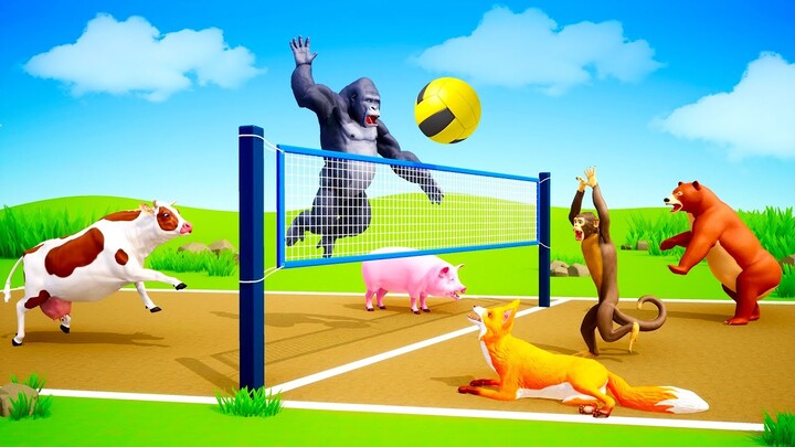 Funny Animals Playing Volleyball Game| Gorilla, Cow, Fox, Monkey, Piggy| Farm vs Wild Animals