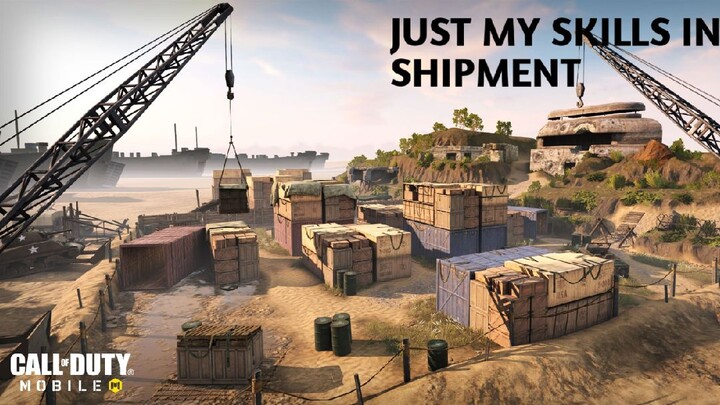 JUST MY SKILLS IN SHIPMENT 1944