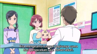 Healin' Good Precure Episode 13 Sub Indonesia