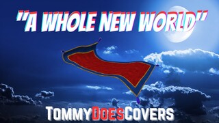 "A WHOLE NEW WORLD" (Duet) - TommyDoesCovers (Aladdin audio only)