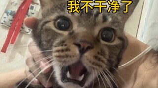 猫：这辈子没有这么无语过～