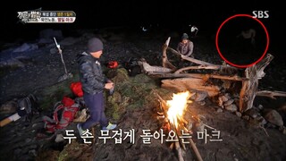 Law of the Jungle in Wild New Zealand Part 2 [1] ENG SUB