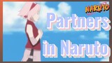 Partners in Naruto