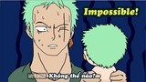 Zoro's son - Who is this kid? | One Piece Animation