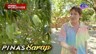 Pepita Curtis, sasabak sa pagsungkit ng 5 kilo ng mangga?! | Pinas Sarap