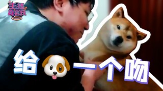 主播真会玩：这不是惩罚AJ，这是在惩罚这条狗#232
