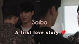 Korean Bl || Mingyu× Jaeseong|| A First love story 👬. Saibo song || Bl hindi mix .