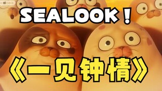 SEALOOK 一见钟情