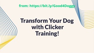 Clicker Training Success Stories - Real Dogs Thriving with Positive Reinforcemen