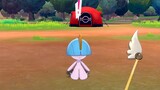 [Pokémon Sword and Shield] Jadi kamu bisa terbang
