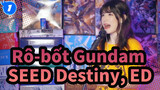[Rô-bốt Gundam] SEED Destiny, ED Kimi wa Boku ni Niteiru, Phối lại_1