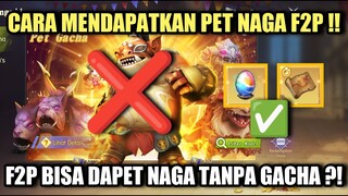 CARA MENDAPATKAN PET NAGA UNTUK F2P !! - Dragon Nest 2 Evolution