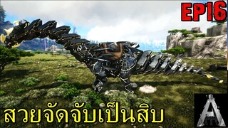 BGZ - ARK Bionic EP#16 สวยจัดจับเป็นสิบ Tame Tek Bronto,Direwolf,Carno,Yutyrannus